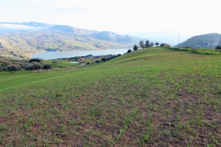 Image No.9-6 Bed Land for sale