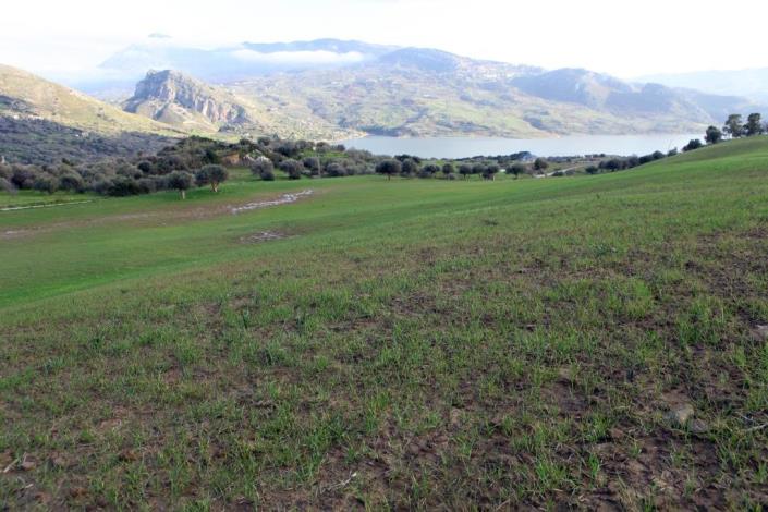 Image No.11-6 Bed Land for sale