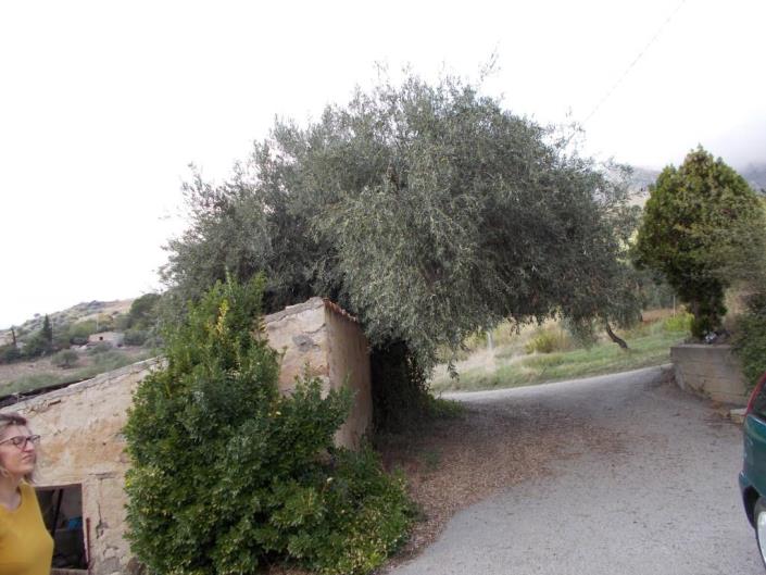 Image No.11-4 Bed Villa for sale