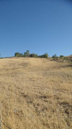 Image No.8-Villa de 1 chambre à vendre à Caccamo