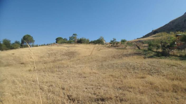 Image No.9-Villa de 1 chambre à vendre à Caccamo