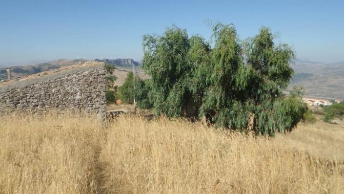 Image No.14-Villa de 1 chambre à vendre à Caccamo