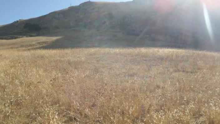 Image No.17-Villa de 1 chambre à vendre à Caccamo