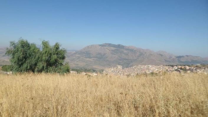 Image No.20-Villa de 1 chambre à vendre à Caccamo