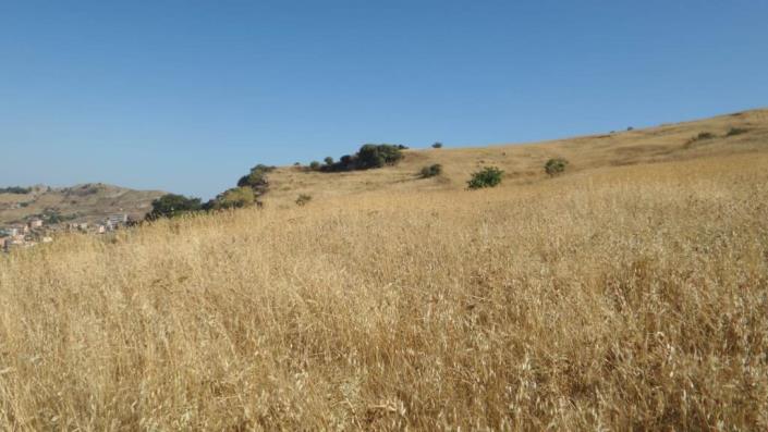 Image No.21-Villa de 1 chambre à vendre à Caccamo