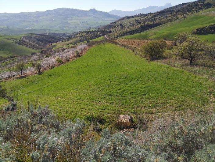 Image No.7-3 Bed Villa for sale