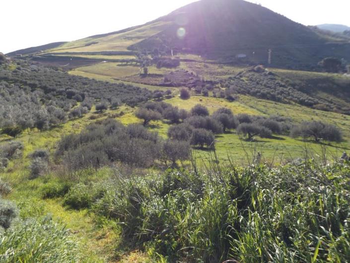 Image No.27-3 Bed Villa for sale