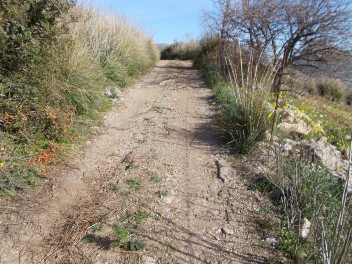 Image No.5-6 Bed Villa for sale