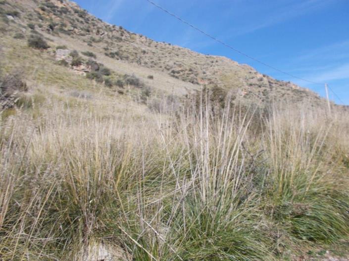 Image No.7-6 Bed Villa for sale