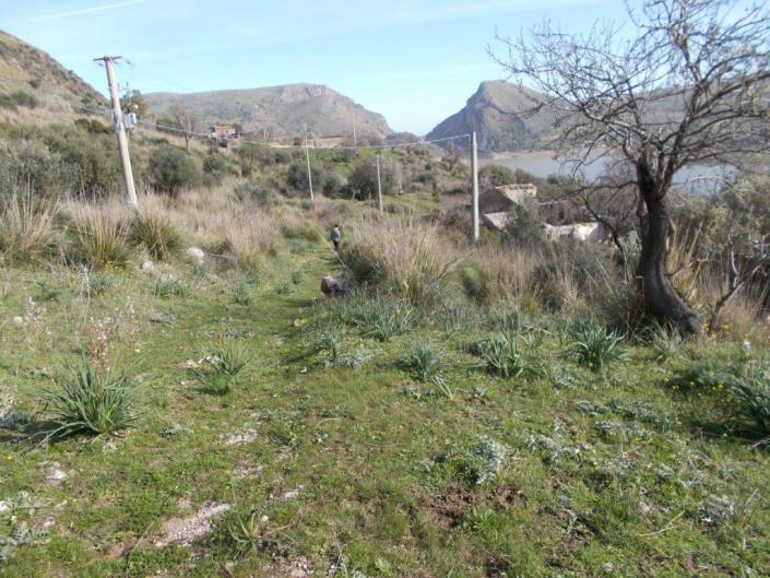 Image No.16-6 Bed Villa for sale