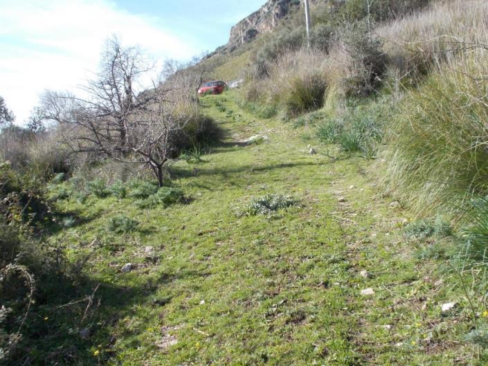 Image No.24-6 Bed Villa for sale