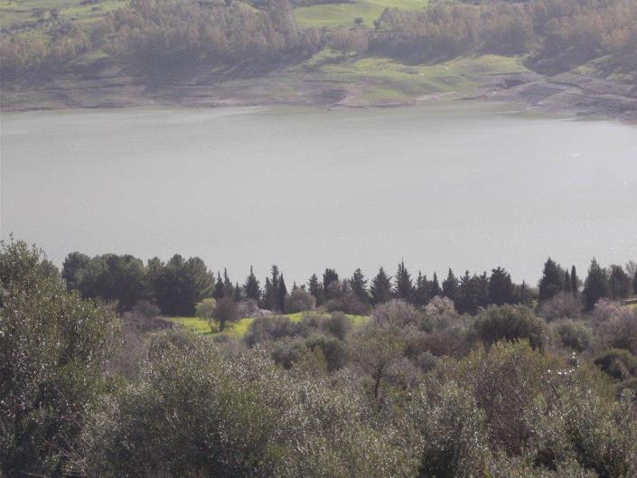 Image No.43-6 Bed Villa for sale