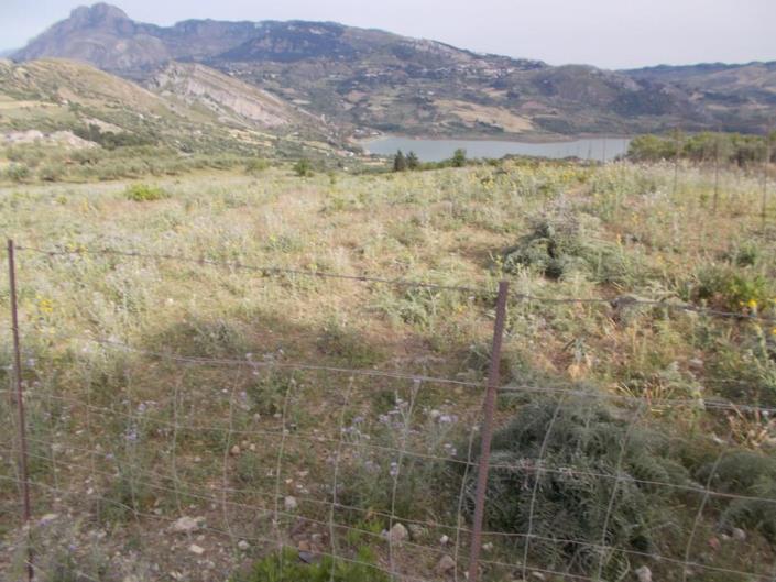 Image No.46-6 Bed Villa for sale