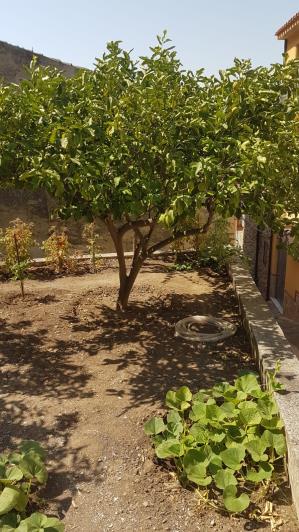 Image No.4-2 Bed Townhouse for sale