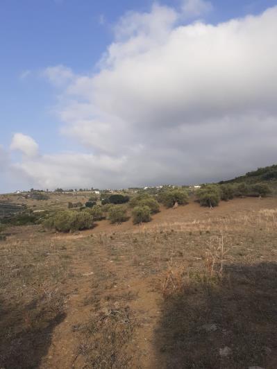 Image No.9-5 Bed Land for sale