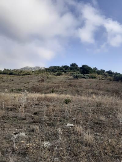 Image No.13-5 Bed Land for sale