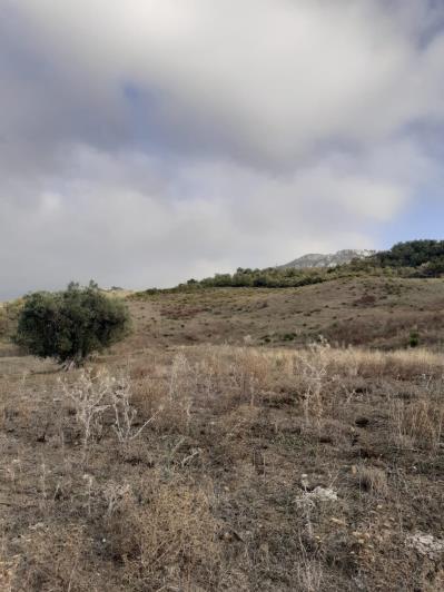 Image No.15-5 Bed Land for sale