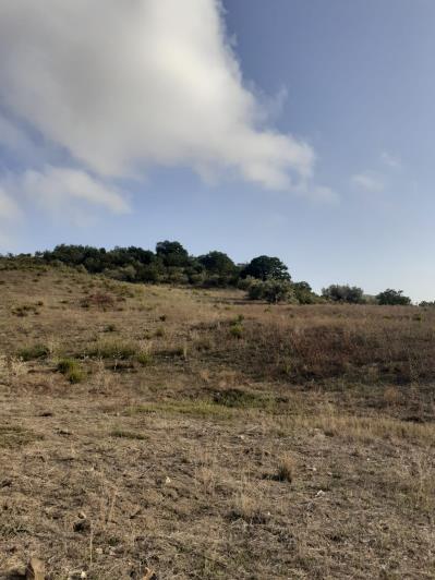 Image No.19-5 Bed Land for sale