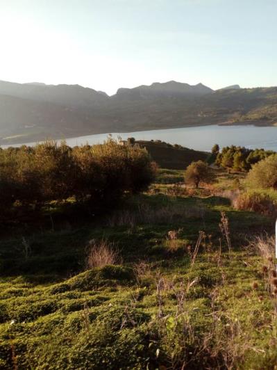 Image No.24-5 Bed Land for sale