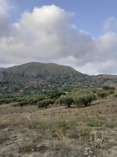 Image No.31-5 Bed Land for sale