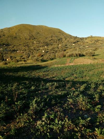 Image No.32-5 Bed Land for sale