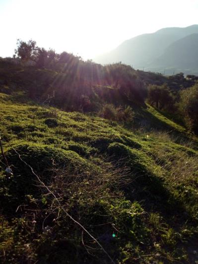 Image No.34-5 Bed Land for sale