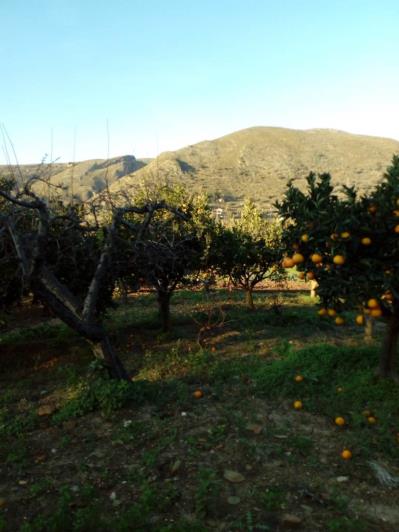 Image No.44-5 Bed Land for sale