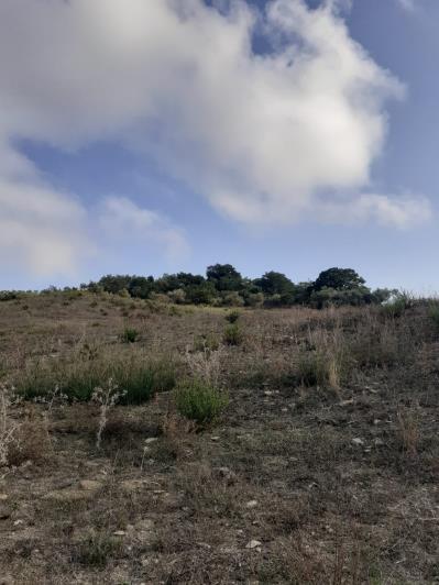 Image No.49-5 Bed Land for sale