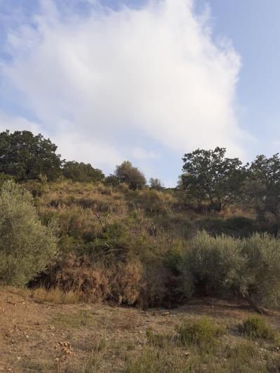 Image No.53-5 Bed Land for sale