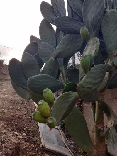 Image No.57-5 Bed Land for sale