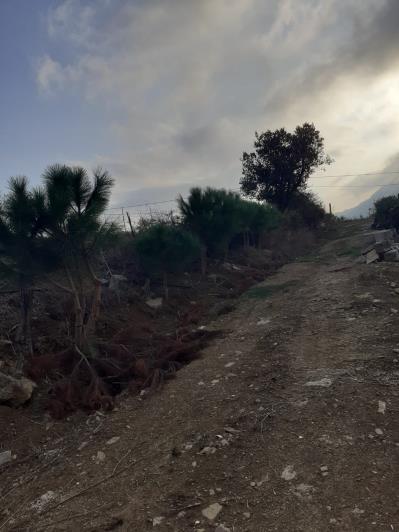 Image No.59-5 Bed Land for sale