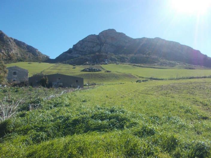 Image No.3-5 Bed Villa for sale