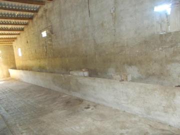 Rotolo-Seb-Villa--Co---9-