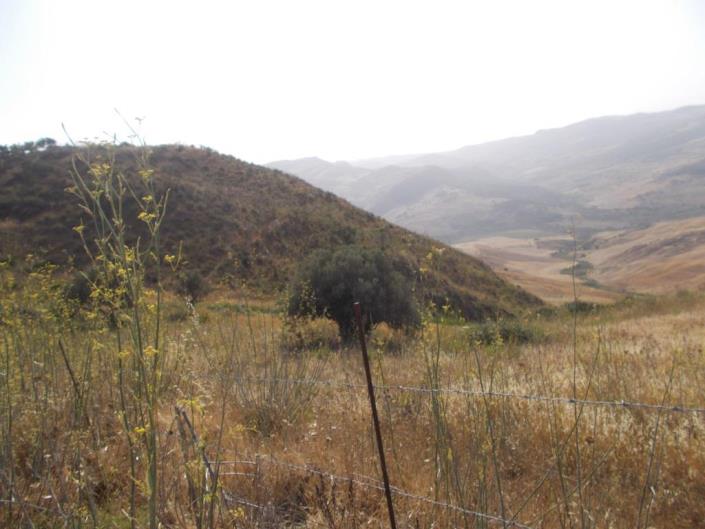 Image No.21-5 Bed Villa for sale