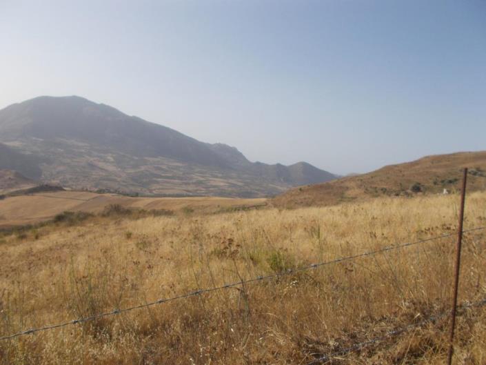 Image No.22-5 Bed Villa for sale