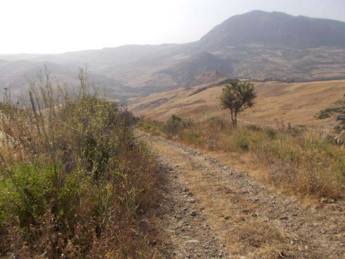 Image No.23-5 Bed Villa for sale