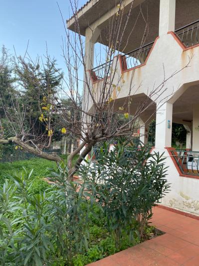 Image No.10-8 Bed Villa for sale