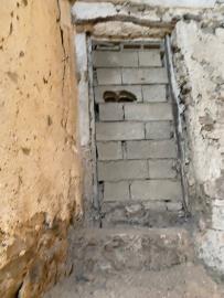 Cecala-Filippo---Ci--24-
