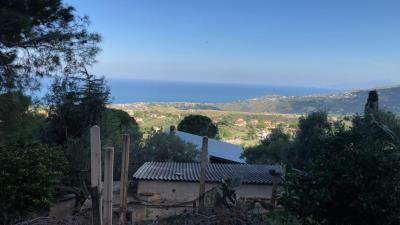 Toscano-lia---Ci---3-