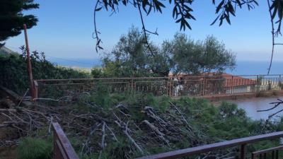 Toscano-lia---Ci---9-