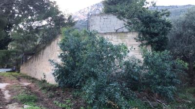 Toscano-lia---Ci---18-