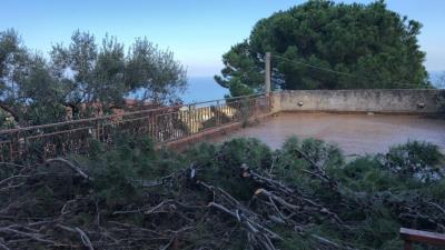 Toscano-lia---Ci---19-