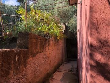 Toscano-lia---Ci---24-
