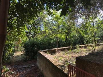 Toscano-lia---Ci---25-