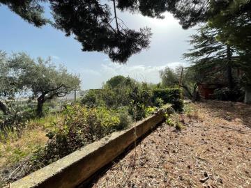 Toscano-lia---Ci---62-