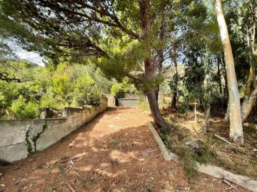 Toscano-lia---Ci---63-