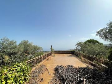 Toscano-lia---Ci---65-