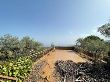 Toscano-lia---Ci---66-