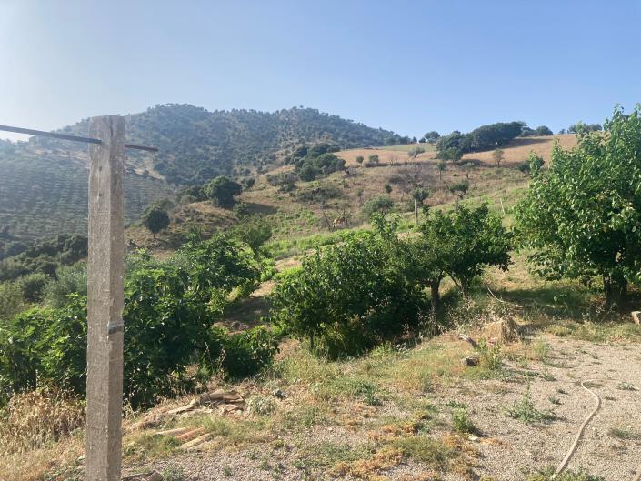 Image No.19-3 Bed Villa for sale