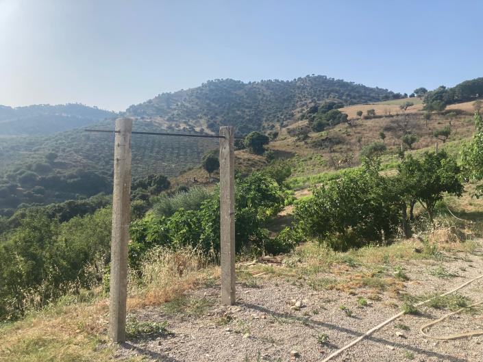 Image No.25-3 Bed Villa for sale